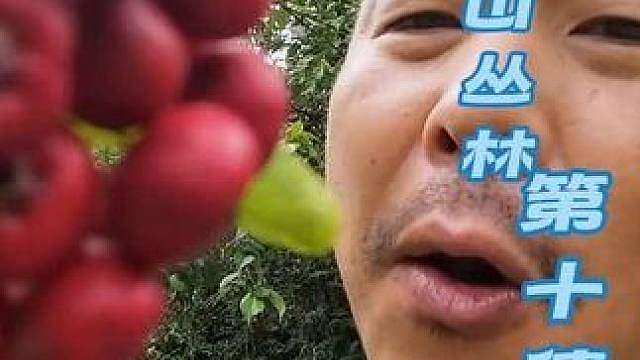高山丛林生存第十集： 差点以为误闯天家，发现野生大麻已经报J处理