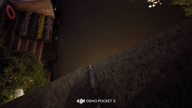 你的一句春不晚