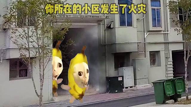 女友火场救高达 #猫meme #猫meme小剧场 #情侣 #女友