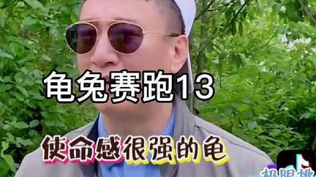 211.极限挑战第二季男人帮，龟兔赛跑名场面！