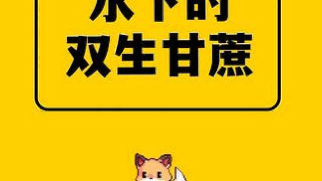 我的世界：有卧龙的地方就有凤雏，两棵位置极其刁钻的甘蔗！