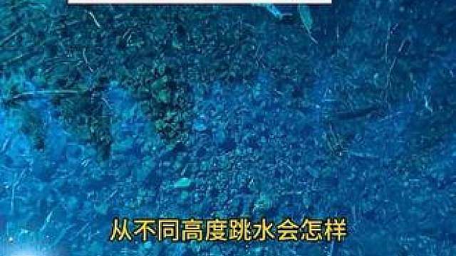 沉浸式带你体验第一视角不同高度跳水.