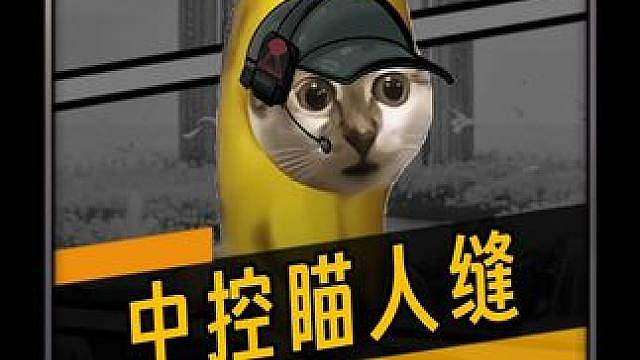 这点位，对面回特勤处之后举报都要点冒烟了