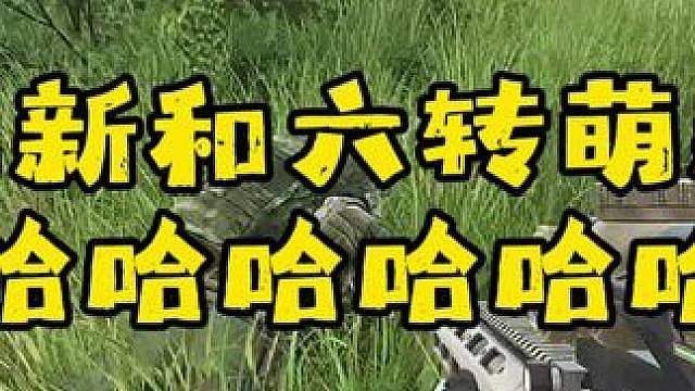萌新和六转萌新之哈哈哈哈哈哈