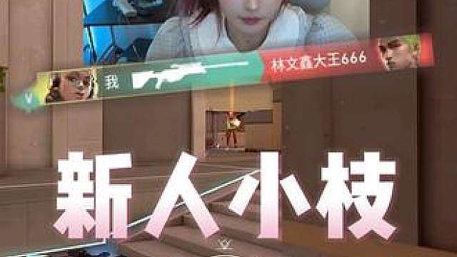 新人小枝，请多关照！