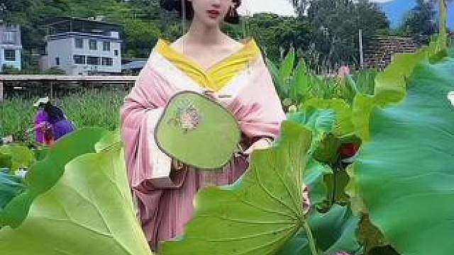 8月15明星云集…明星与你不见不散，还有机会和他们合照呦
开园走秀，篝火，钓小龙虾、摸鱼，赏花、非遗、艺术拍照、麻将、台球、喝茶、烧烤、铜火锅、烟花、全都有