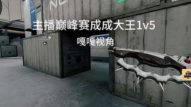简单看看我的视角 比完赛的这两天，当时真的不以为常，但总有人来说我一枪都打不着，我就简单回应一下这个当的视角。
只能说成成大王很敢操作，真的打了一个出其不意，根本反应不过来，就被一套回流身法拿下了，非常之棒！
这次的主播巅峰赛：第一次参加正式比赛，我是一轮一轮晋级上去的选手，我没有认为我打的很菜，靠自己努力晋级，让支持我的粉丝一个个非常认可我！晋级我已经非常满意了！
我比谁都清楚自己在这次比赛夺冠