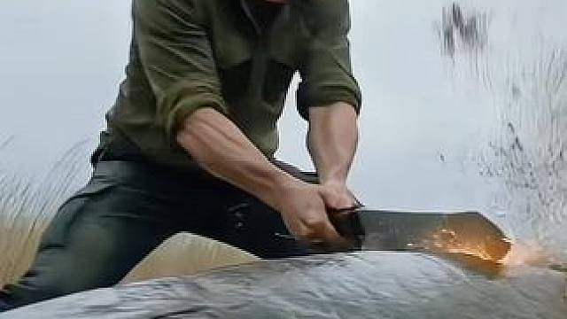 为什么用菜刀砍鳄雀鳝都砍不动呢？
