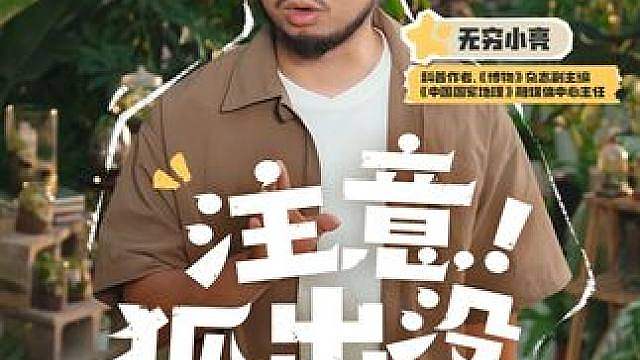 无穷小亮正式加入精灵调查团！ 快和 一起，来卡洛西亚大陆，了解精灵们的故事吧