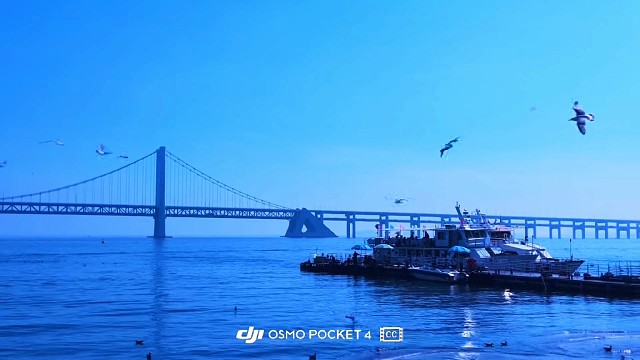 往前一步是黄昏，退后一步是人生