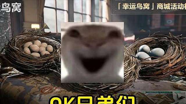 幸运鸟窝返场！刀皮全都有！