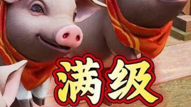恭喜满级玩家解脱了 以后可以睡觉睡到自然醒，玫瑰药材随便种了