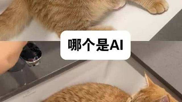 猜猜哪个是AI？上难度了

 ​​​