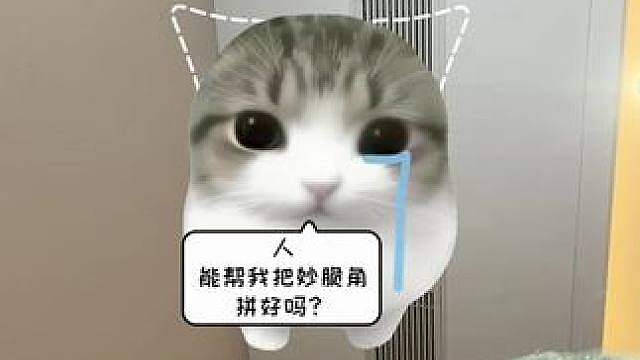 舒服者耍起