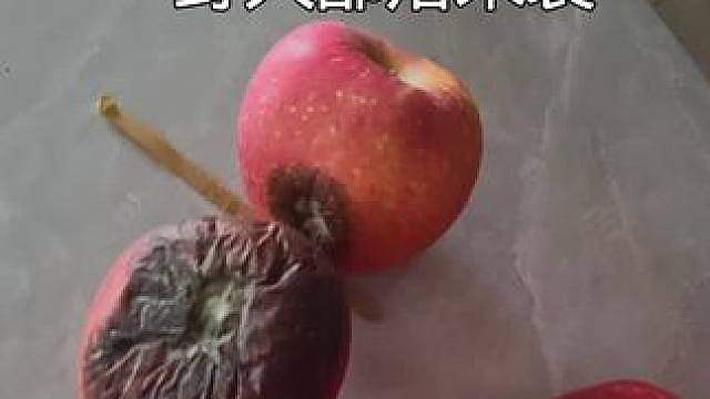 野人部落来袭