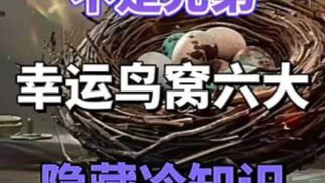 不是兄弟幸运鸟窝6大隐藏冷知识