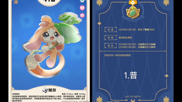 2026 8月 7日 11.00 怀念当初 草系试炼