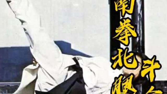 南拳北腿击杀江湖上的四大恶人
