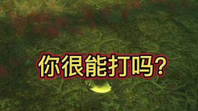 你很能打吗？