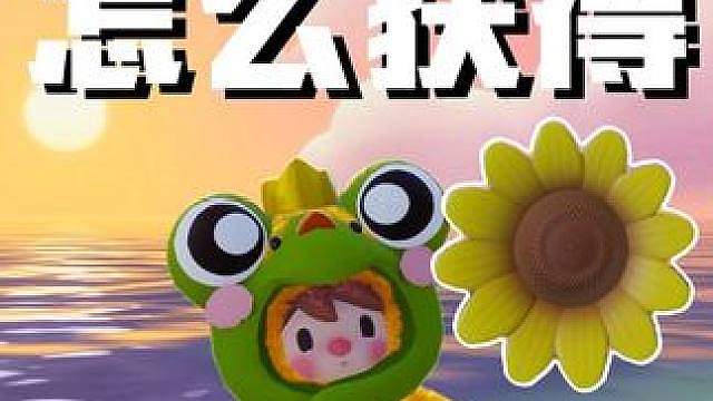 星宝小岛向日葵怎么获得？