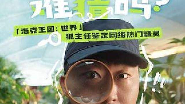 听说洛克王国的精灵原型很难猜？