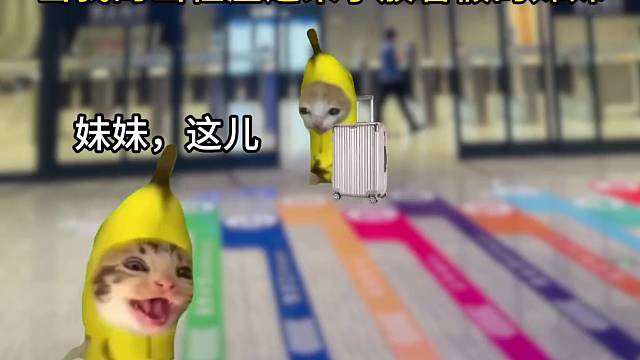 当我的出租屋迎来了放暑假的妹妹
#猫meme #内容过于真实 #幸福 #暑假 #姐妹