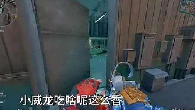 三角洲行动