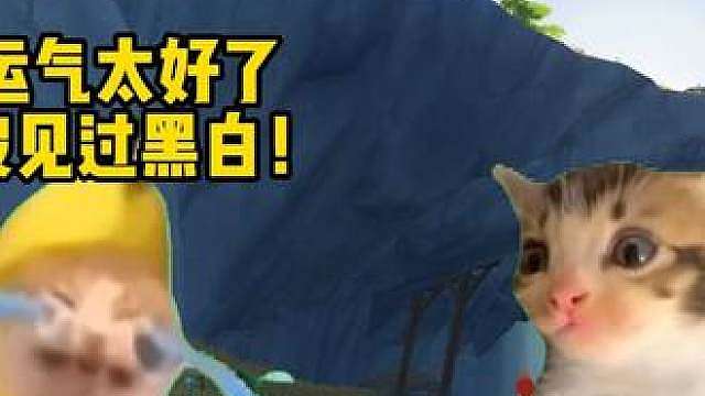 当可立鸡进化后很雷霆