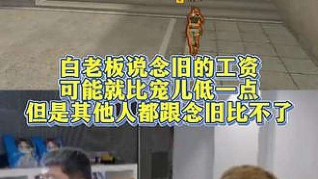 白老板说念旧的工资可能就比宠儿低一点，但是其他人都跟念旧比不了！