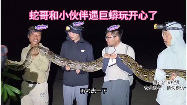 蛇哥抓巨大蟒蛇，来长长眼