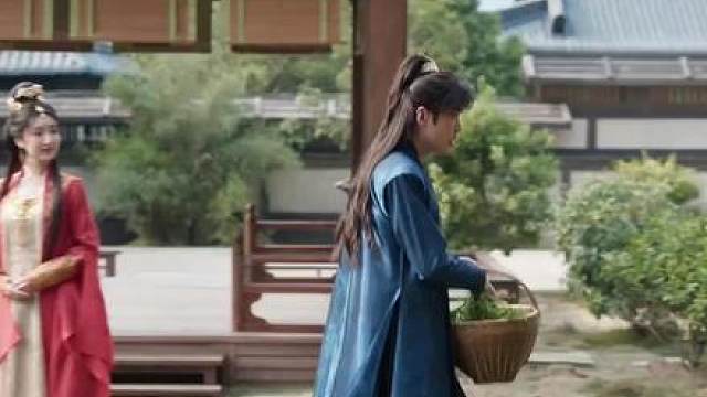北齐大公主把骡子当成战马让范闲哭笑不得，大皇子与北齐公主互相为对方考虑。