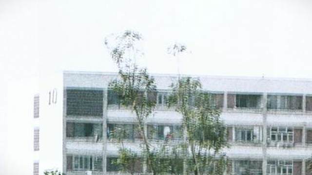 经典港片古惑仔 人在江湖超清修复