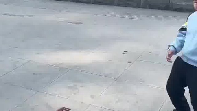 看得出来！你们个个身怀绝技