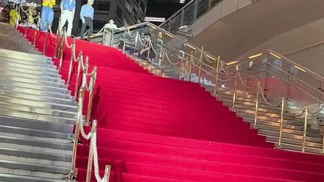 迎面向我们走来的是！中国代表队！