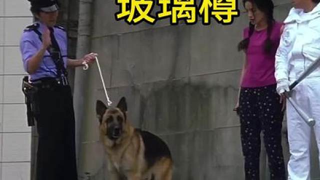 龙叔的这部电影，星爷一出场喜剧感拉满