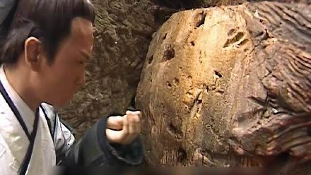 后山惊现猿人，没想到竟然是他
