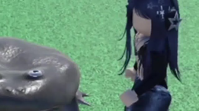 歪果户外搞笑视频