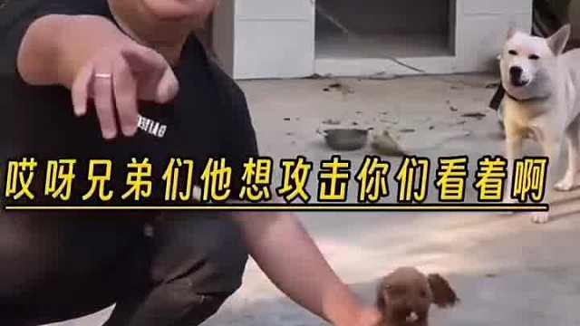 甩的非常快