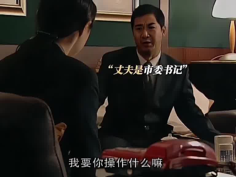 我不是想做官，我是想做点事情，祁厅长就缺一个这样的老婆