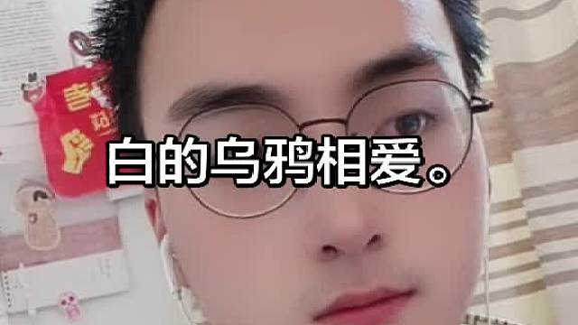 白鸽与乌鸦相爱。