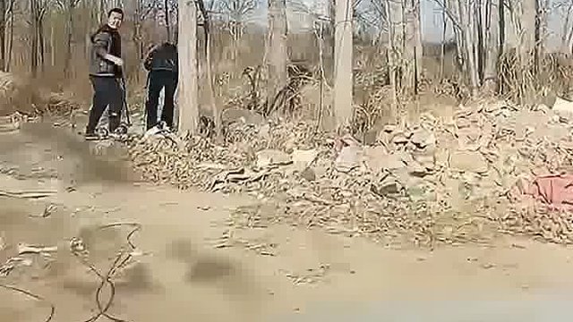 突然按喇叭，结果亮了。