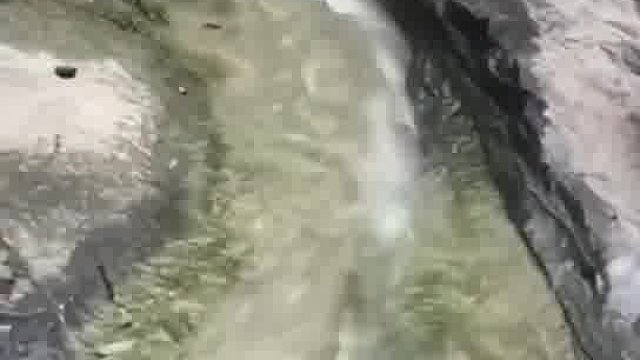 鸡爸爸-我今天没带娃！也怨我？