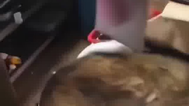 嘿我这暴脾气