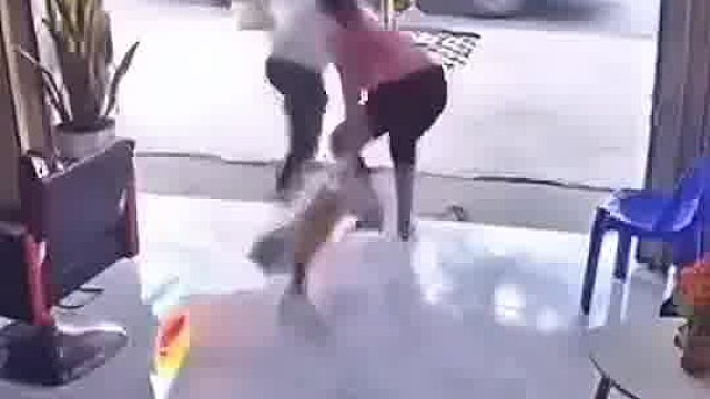 狗吓的闻风丧胆