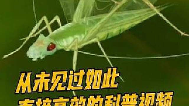 我将用最直白,最不绕弯子的话给你科普