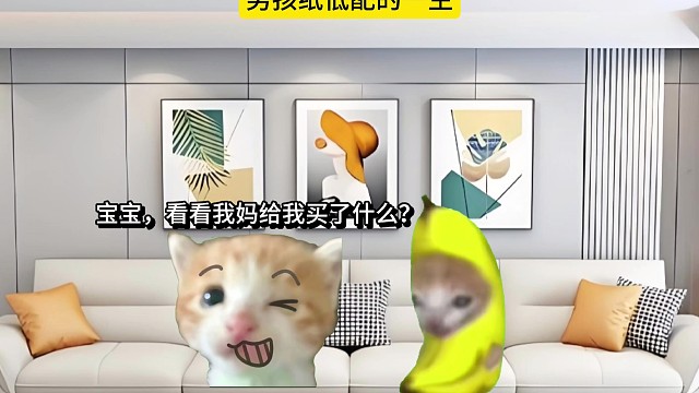 男孩纸低配的一生