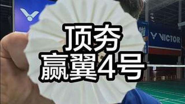 赢翼你就出来捣乱好了
