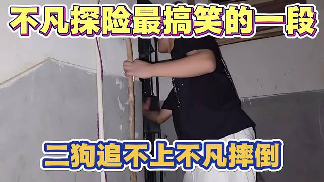 不凡探险最搞笑的一段 二狗追不上摔倒