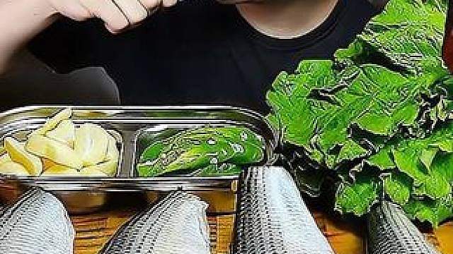 鲱鱼罐头让人掩鼻而逃，但新鲜的鲱鱼鱼生，却是非常的脆嫩可口