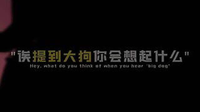 提到大狗你会想起谁